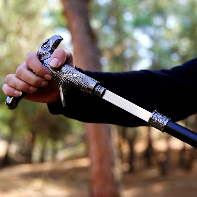 Conceal & Carry Cane Swords for Sale SelfDefense SwordBuy