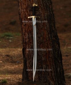turkis sword