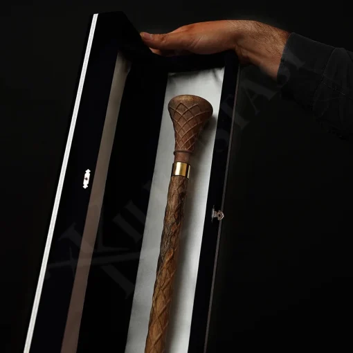 cane sword